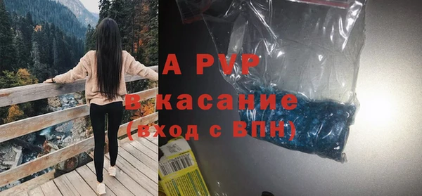 стаф Абаза