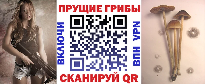 Псилоцибиновые грибы Psilocybine cubensis  мега рабочий сайт  Ильский 